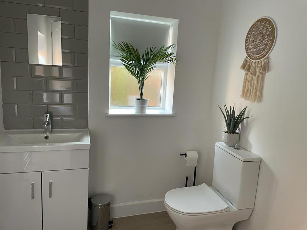 Wren - Luxury 1 Bed Serviced Suites *